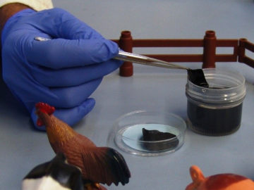 Paper farming for thermoelectrics: breakthrough to recycle waste heat into electricity