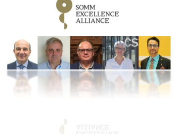 Constitution of the new SOMM alliance Executive Board