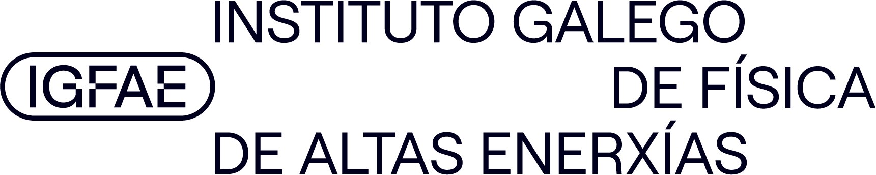 Galician Institute of High Energy Physics (IGFAE)