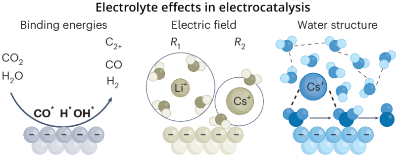 Electrolytes: