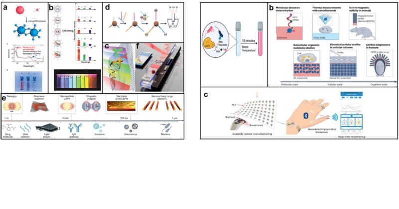 Nanobiosensors: