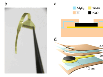 Advancing Toward Long-Term Stable Graphene Neural Implants