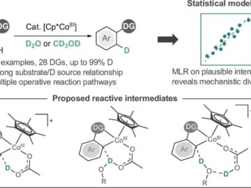 When substrates dictate the route: Reaction conditions shape mechanistic pathways