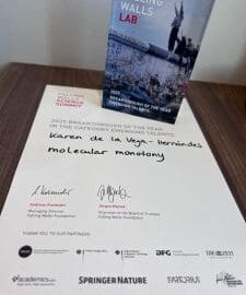 ICIQ researcher wins first place at the Falling Walls Lab Global Finale in Berlin