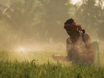 From Barcelona to West Bengal: Chemistry Meets Mathematics to Enhance Water Filter Design