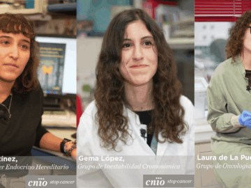 Los últimos descubrimientos de la investigación más joven del CNIO