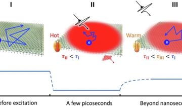 New Thermal Properties Discovered in 2D Materials Pave the Way for Future Advances in Electronics