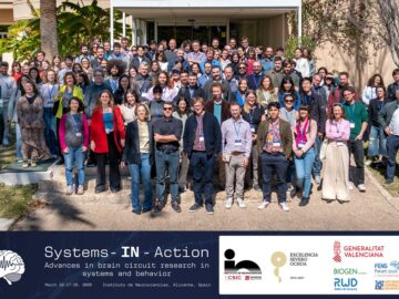 Alicante brings together leading international experts in neuroscience at the first Systems-IN-Action Meeting, a conference on the brain in action