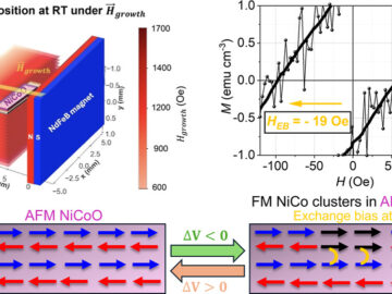 Generating Ferromagnetism within an Antiferromagnetic Material by Voltage