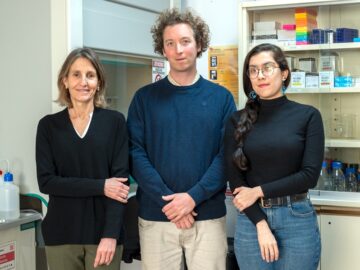 A study by the Institute for Neurosciences identifies a key brain circuit for spatial memory
