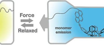 New mechanoluminophore based on calixarenes enables reversible optical response to mechanical force