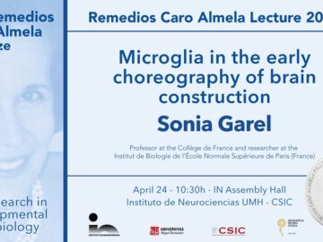 Ceremony for the 12th Remedios Caro Almela Award, April 24 2026