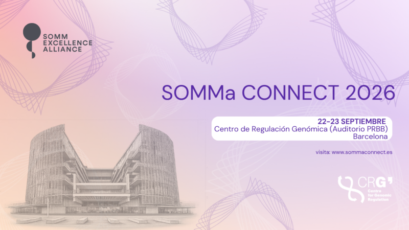 SOMMa Connect 2026 