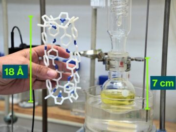 Cycloadditions in confined molecular cages