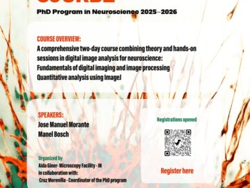 II Image Analysis Course – PhD Program in Neuroscience, May 25–26, 2026