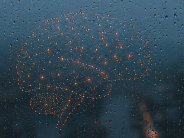 What memory has to balance: Representational drift, network freezing, and the mechanisms that hold neural circuits in between