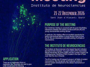 23rd Christmas Meeting, 21-22 dec 2026