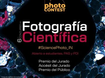 VI Science Photo Contest Institute for Neurosciences